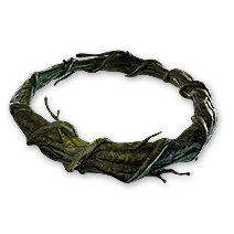 Druidic Circlet