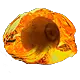 Hollow Fossil