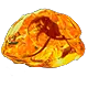 Corroded Fossil