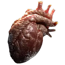 Sacrificial Heart