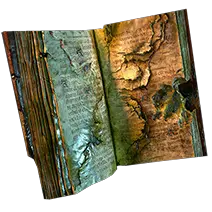 Book of Specialisation