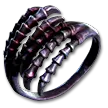Evergrasping Ring